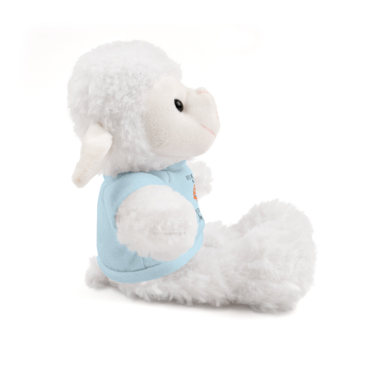 Plush Bear for adults with Tee — "Tell Me I'm Pretty" 420 Teddy