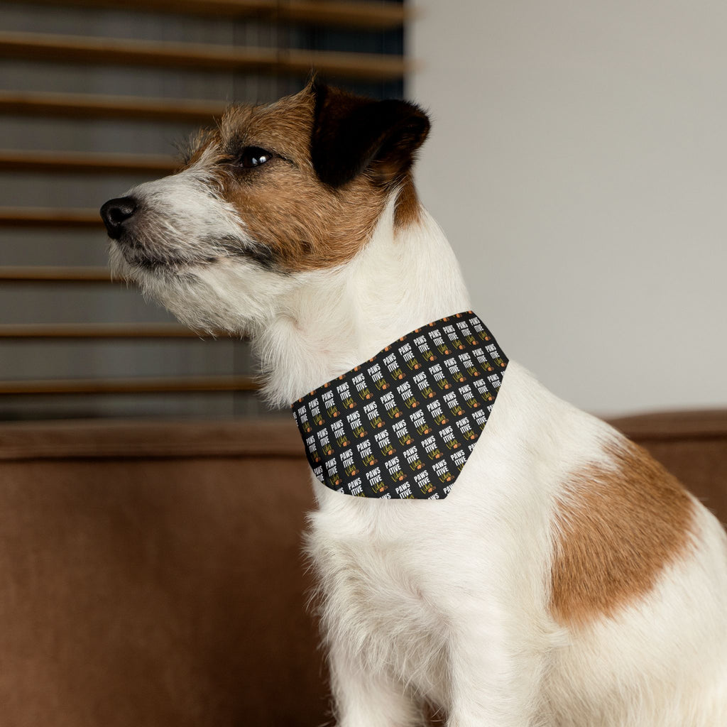 Pawsitive Vibez Pet Bandana Collar