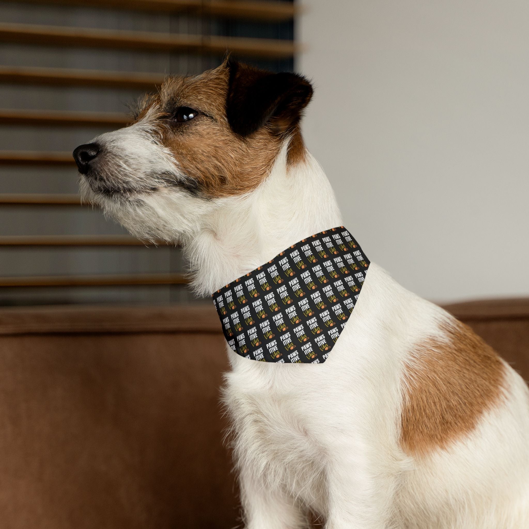 Pawsitive Vibez Pet Bandana Collar
