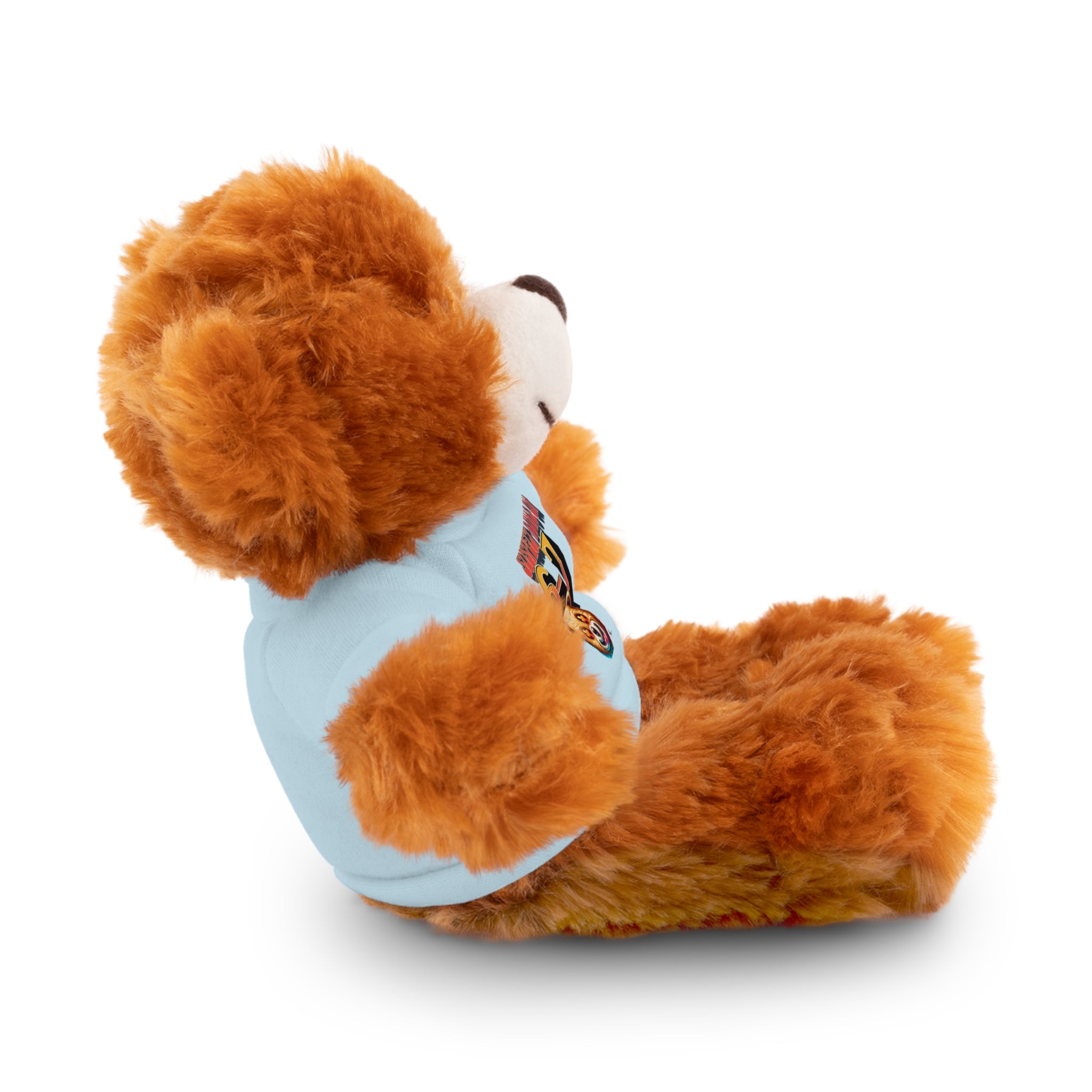 6-7 Teddy Bear wearing Tee – Cute Plush Gift for Kids