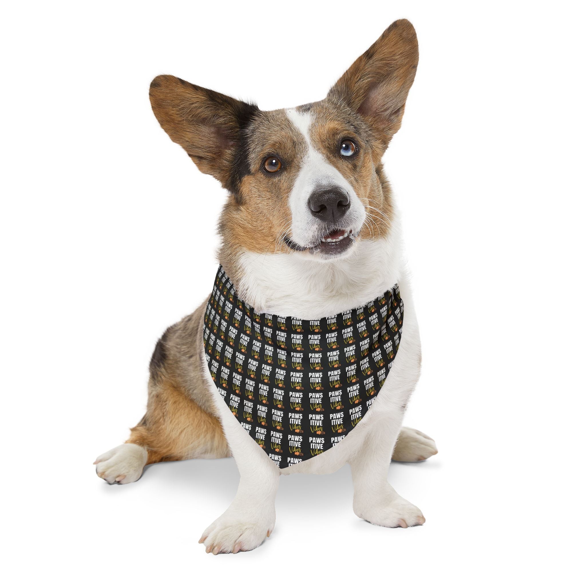 Pawsitive Vibez Pet Bandana Collar