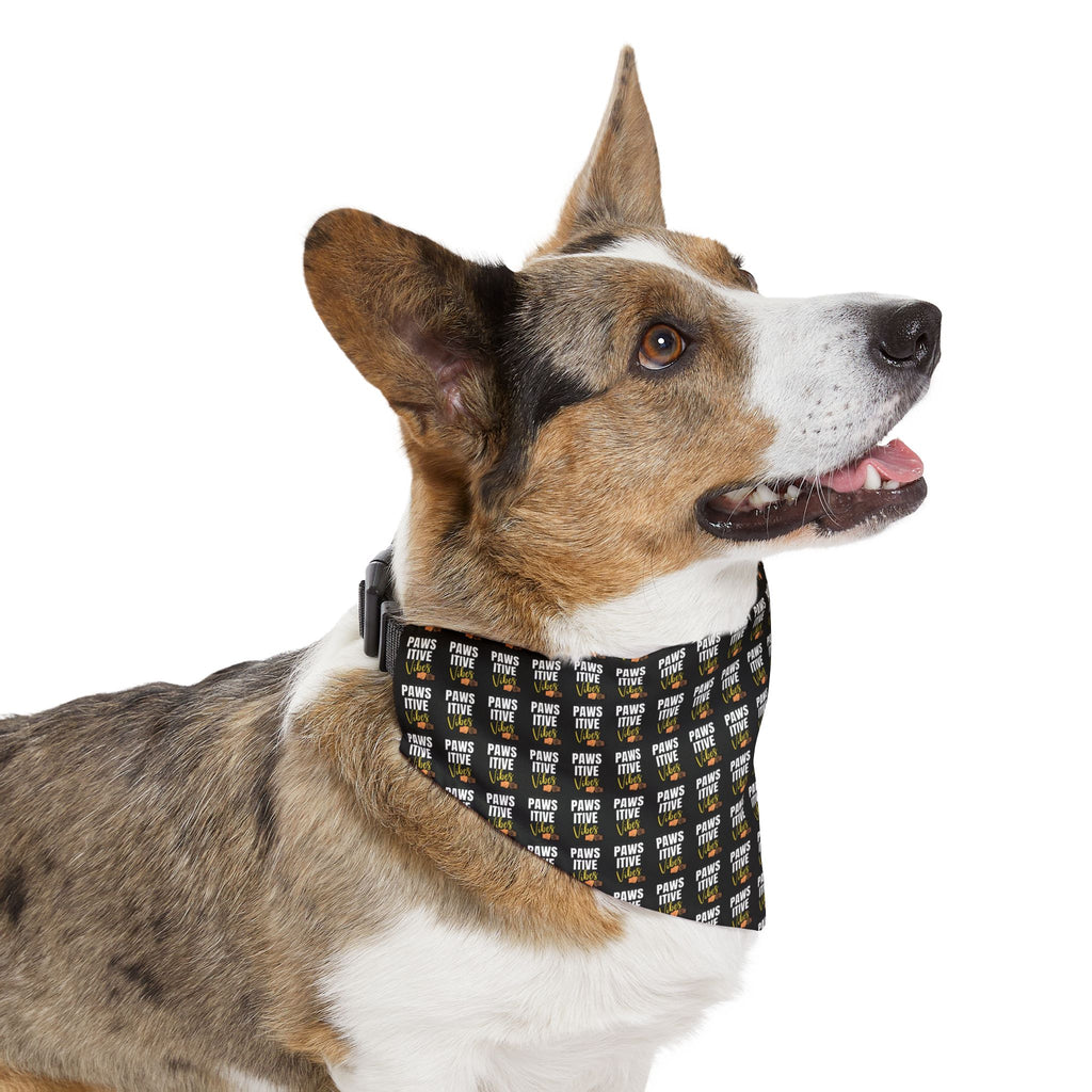 Pawsitive Vibez Pet Bandana Collar